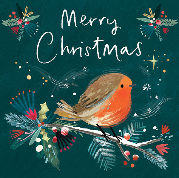Fir Tree Robin